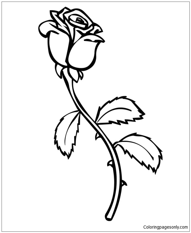 Roses coloring pages