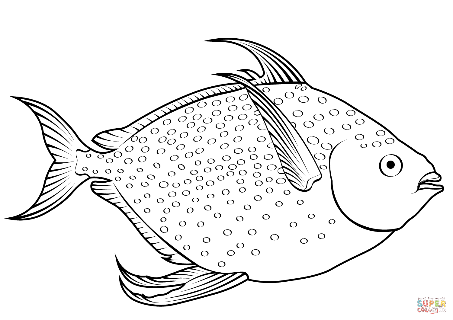 Opah or moonfish lampris guttatus coloring page free printable coloring pages