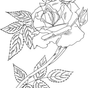 Roses coloring pages printable for free download