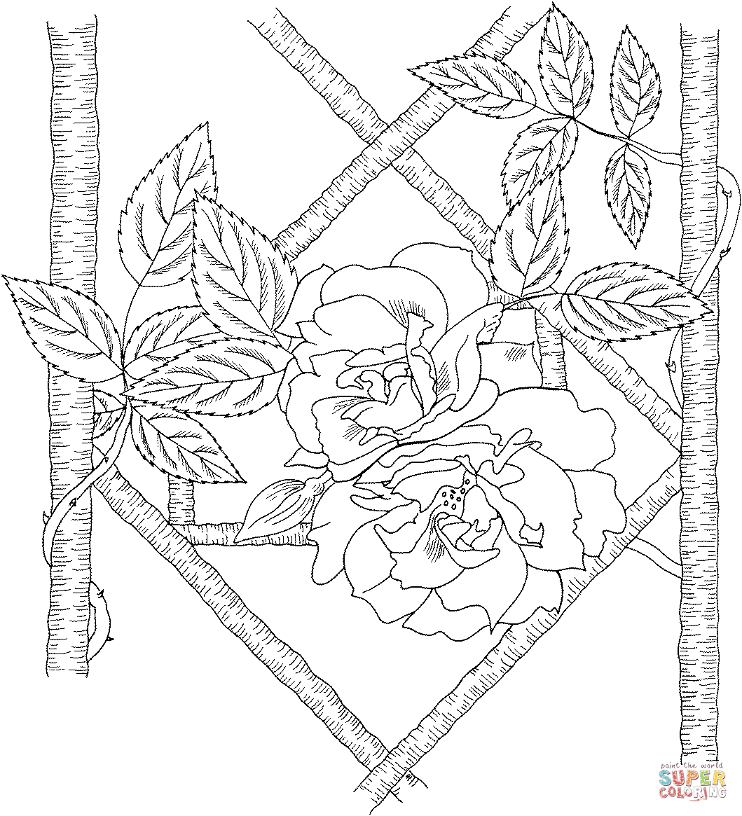 Climbing blaze rose coloring page free printable coloring pages