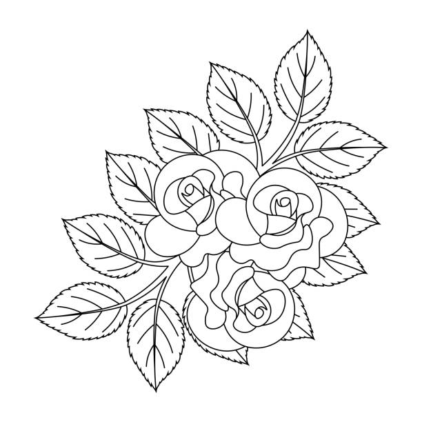 Climbing rose stock illustrations royalty