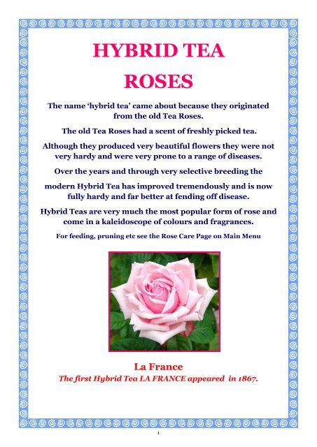 Online brochure hybrid tea roses