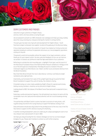 Rose catalogue by knights roses