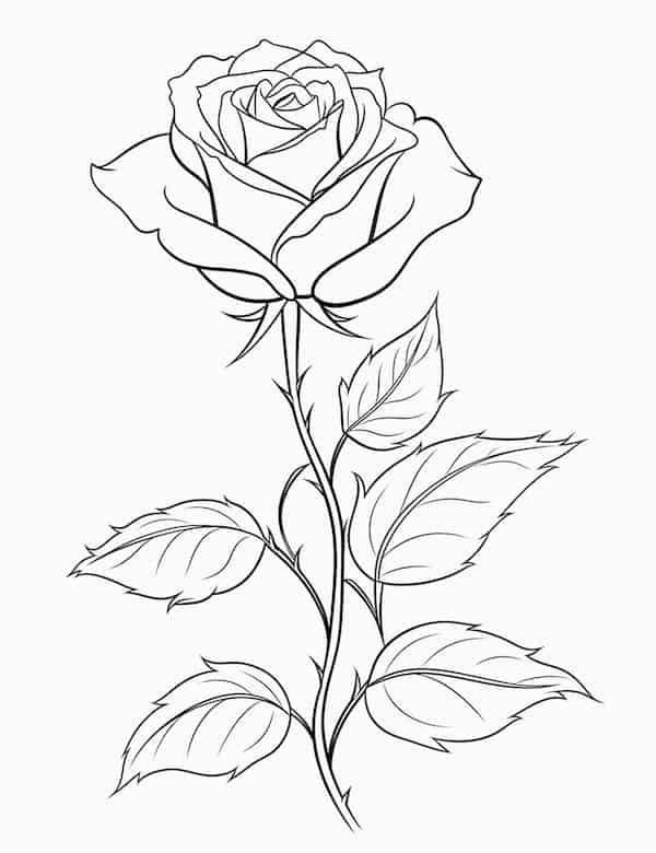 Beautiful rose coloring pages for kids and adults