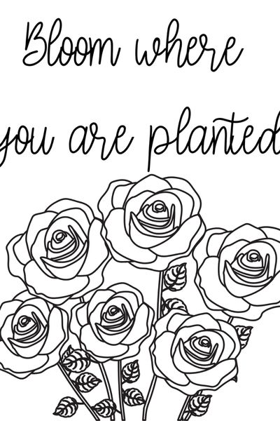 Realistic rose coloring pages