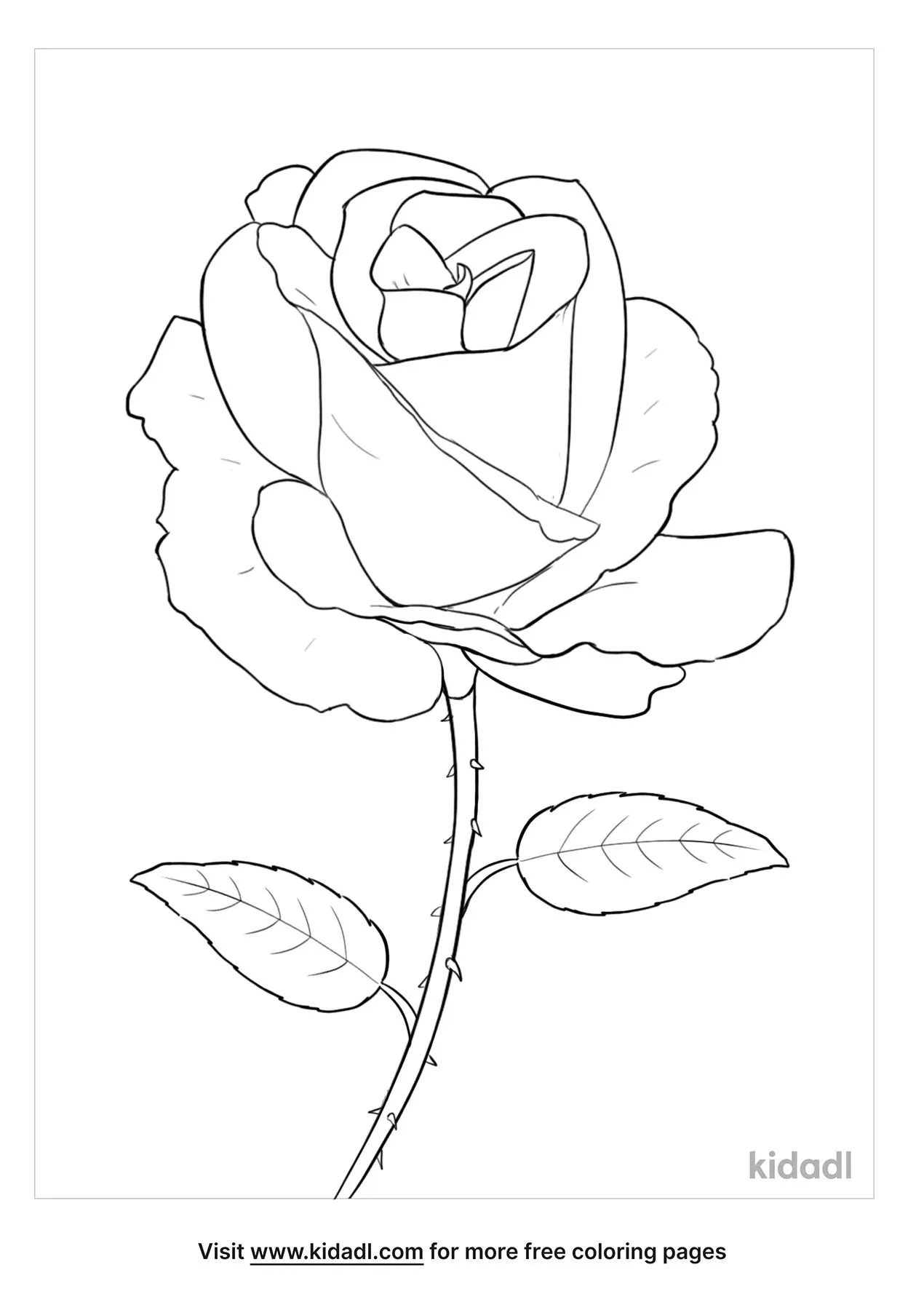 Free royal sunset climbing rose coloring page coloring page printables