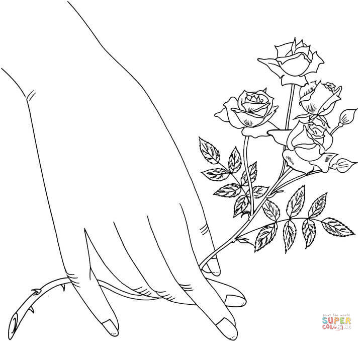 Royal sunset climbing rose coloring page