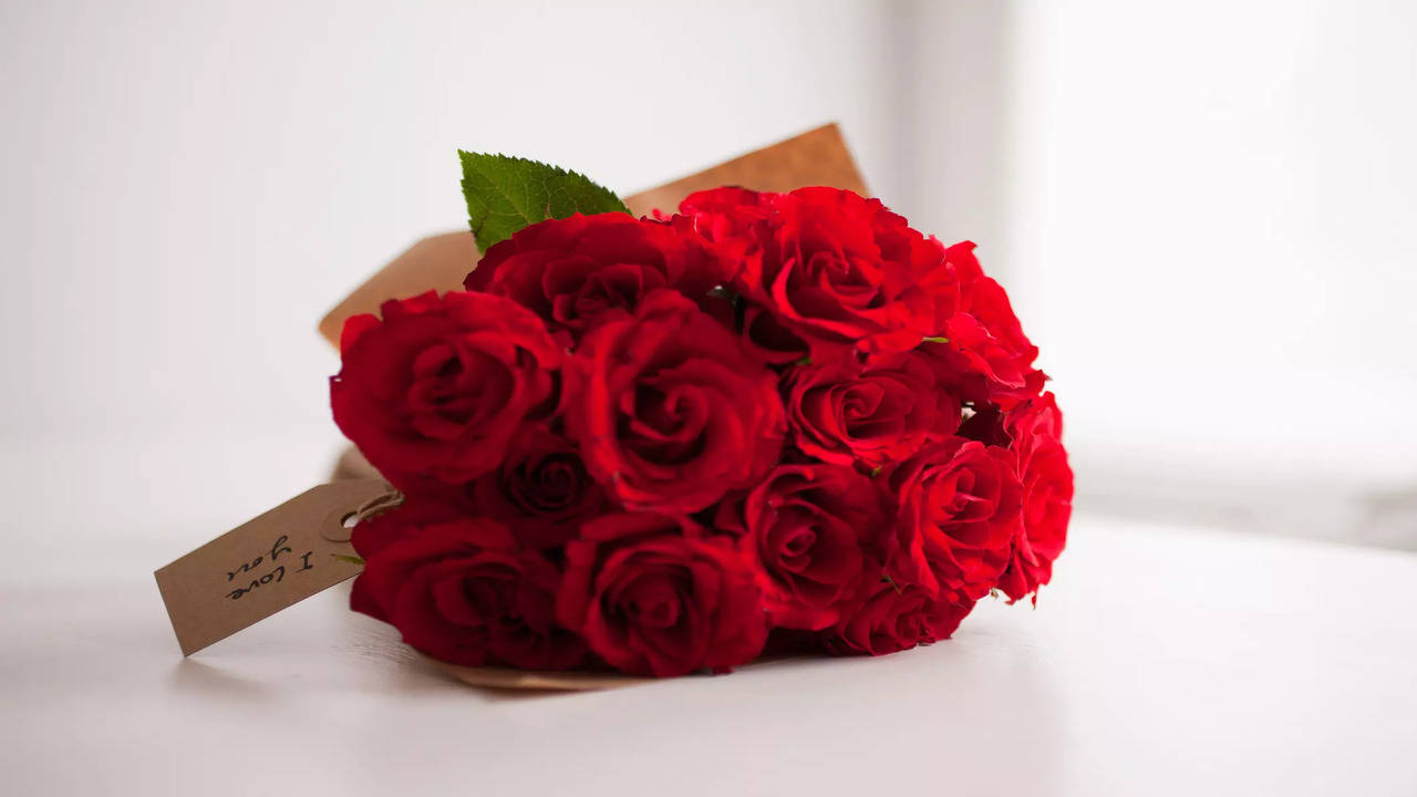 Happy rose day top wishes essages quotes and iages for your special soeone