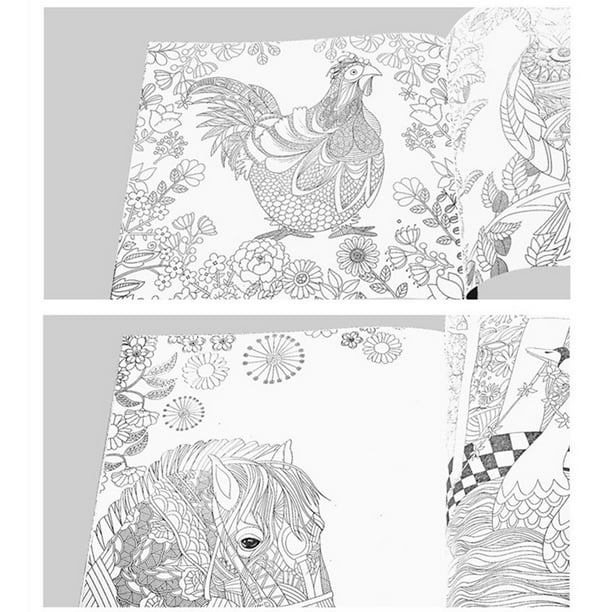 Secret garden colouring book coloring page for kids adult colormagil dreams