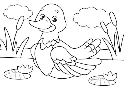 Cute duck coloring pages for toddlers kids