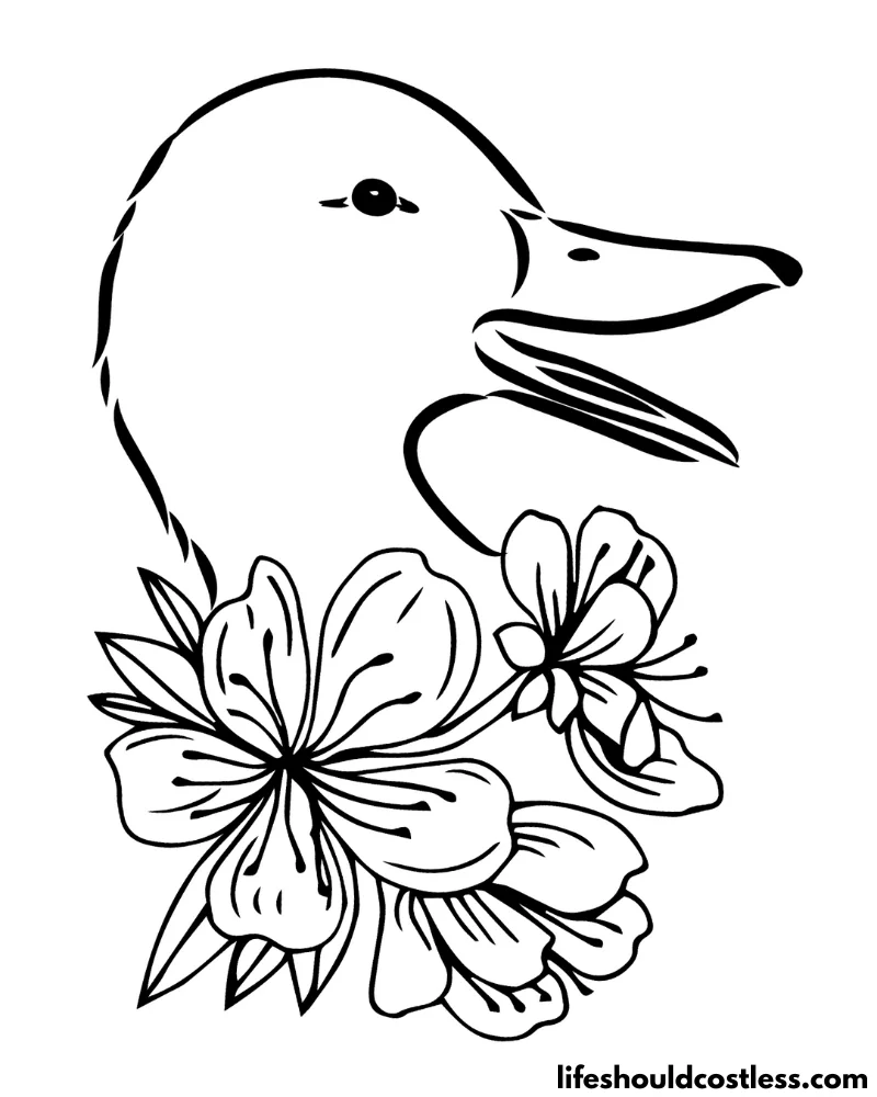 Duck coloring pages free printable pdf templates