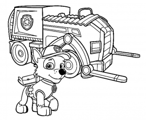 Paw patrol