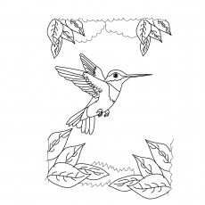 Top hummingbird coloring pages for your toddler