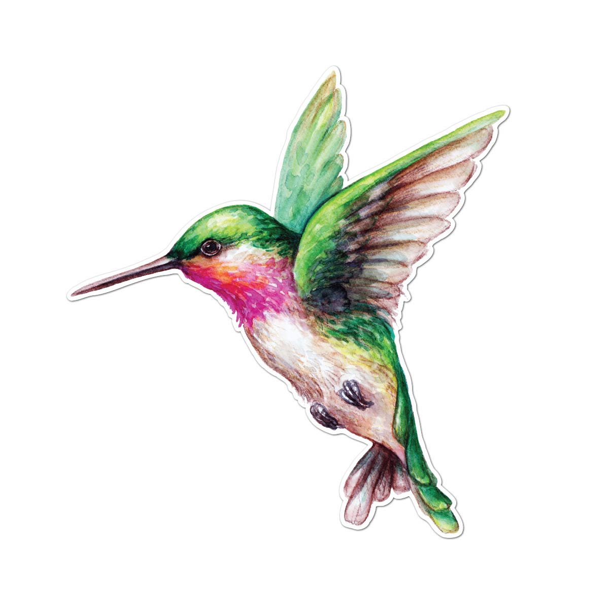 Milk mug designs watercolor ruby throated hummingbird inch full color vinyl decal automotive