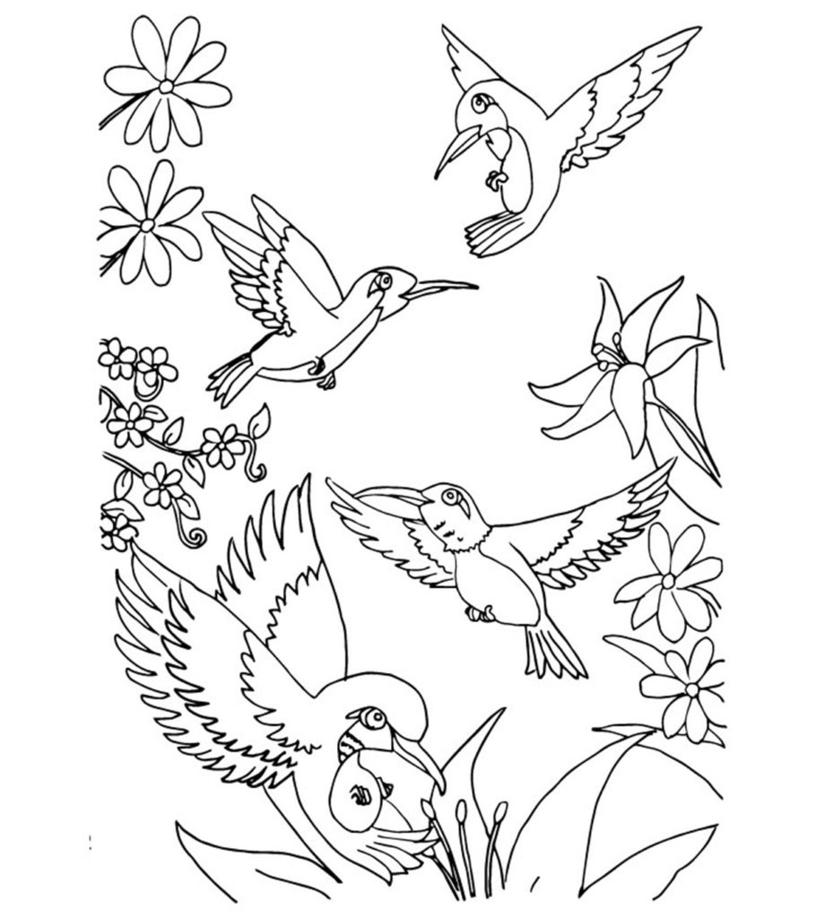 Top hummingbird coloring pages for your toddler