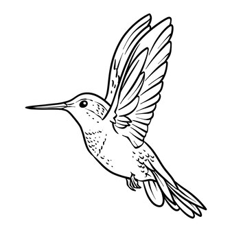 Page bird house coloring images