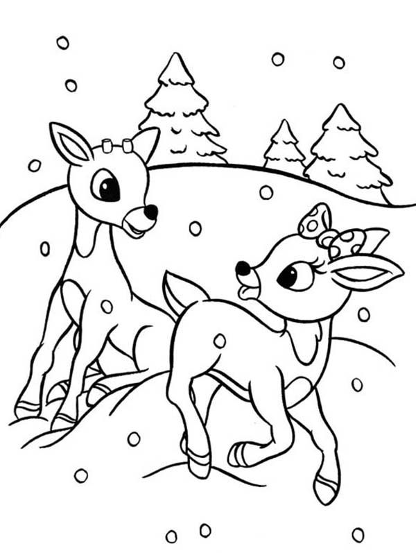 Rudolph and clarice are santas the reindeer coloring page rudolph coloring pages deer coloring pages christmas coloring pages