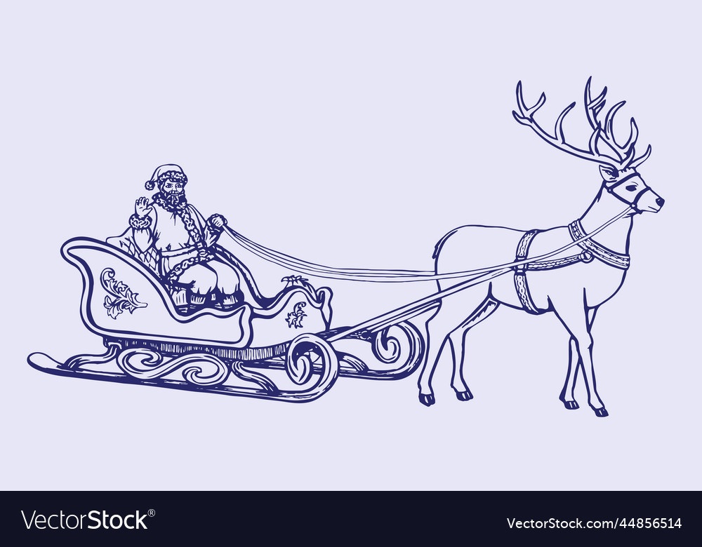 Santa claus rides in a sleigh pulled by reindeer vector image