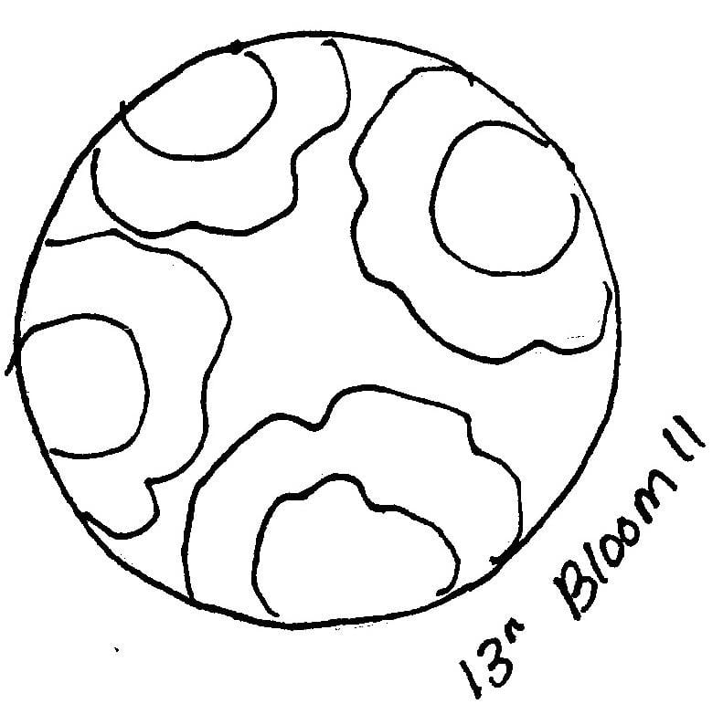 Bloom