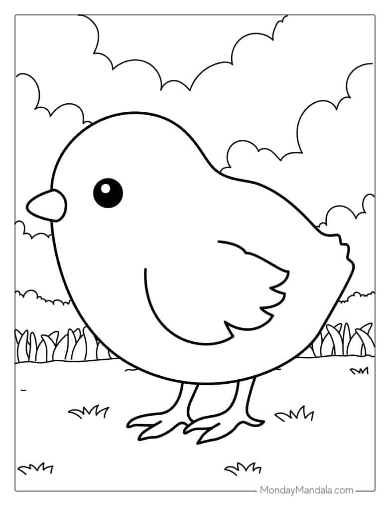 Chicken coloring pages free pdf printables