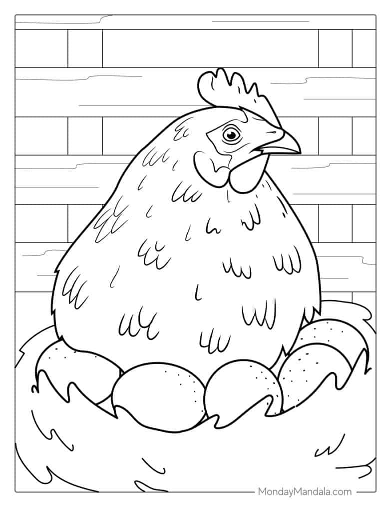 Chicken coloring pages free pdf printables