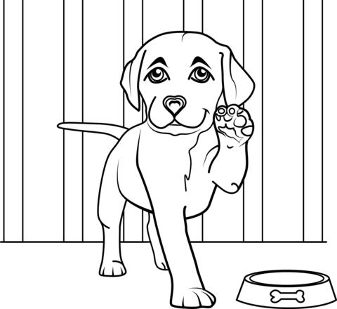 Labrador puppy coloring page free printable coloring pages