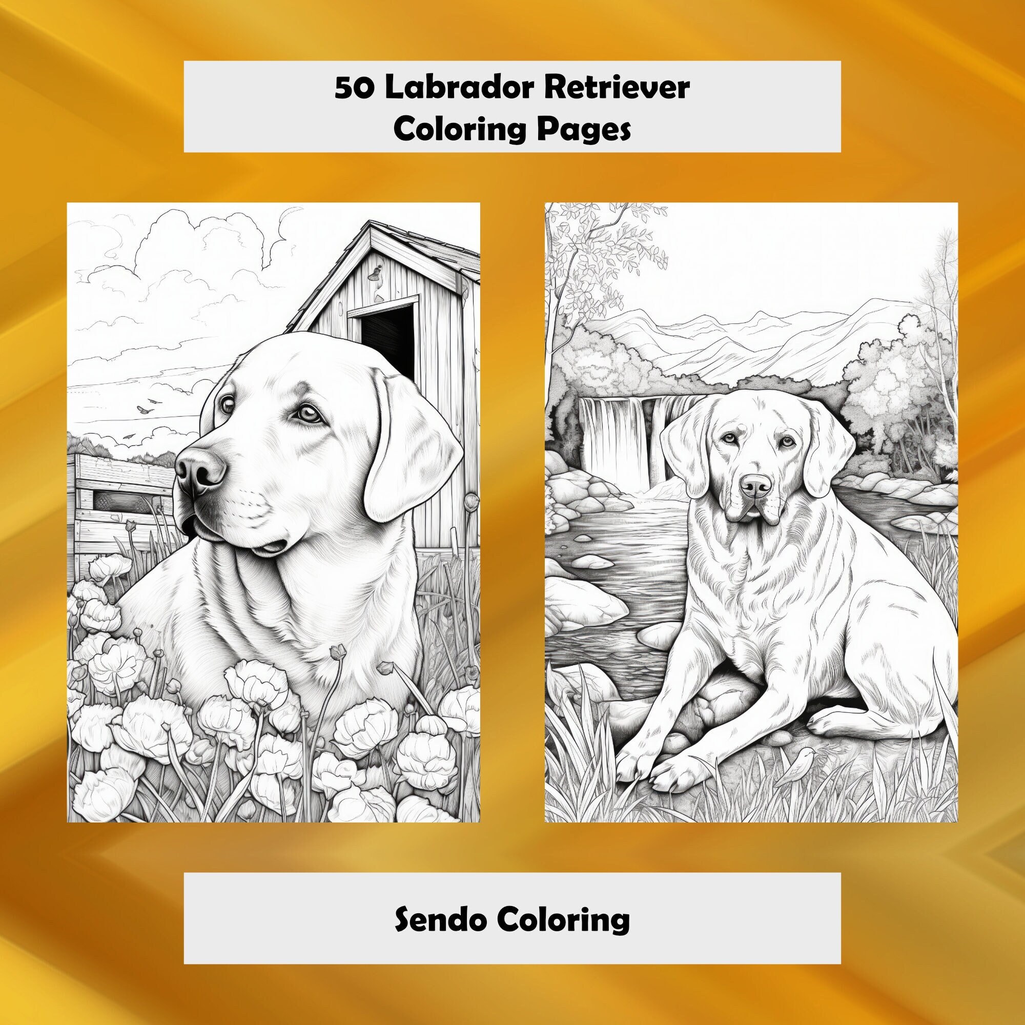Lab coloring pages