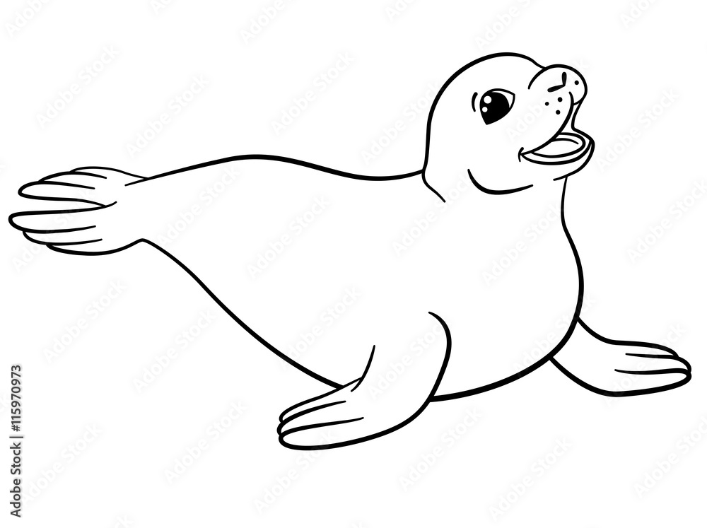 Coloring pages little cute seal vector