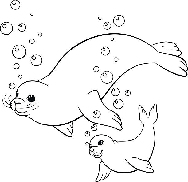 Coloring pages mother fur seal with her little cute baby stock illustration