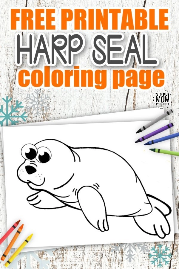 Free printable arctic harp seal template â simple mom project