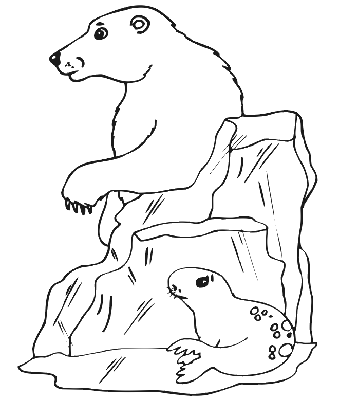 Seal and polar bear coloring page