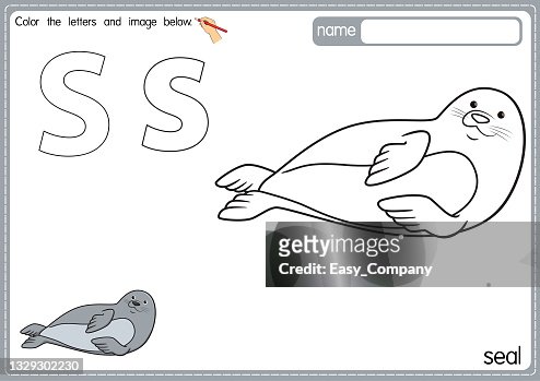 Vector illustration of kids alphabet coloring book page with outlined clip art to color letter s for seal high