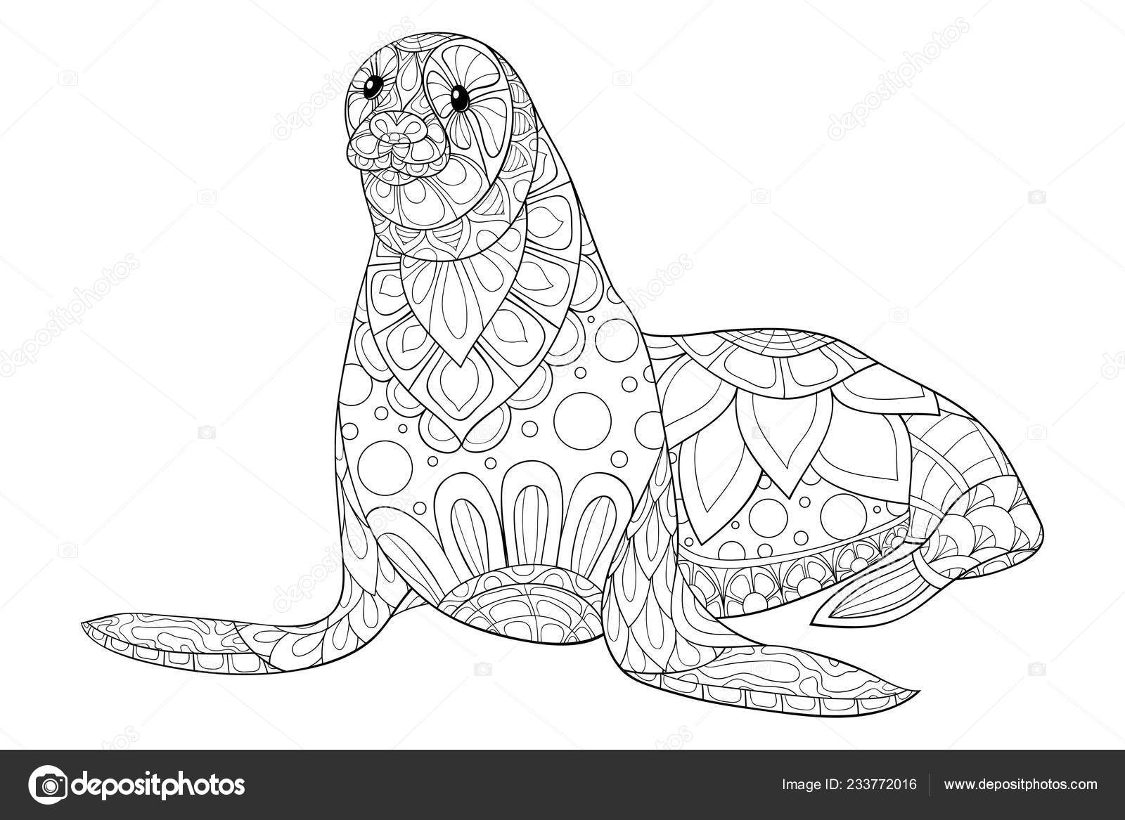 Cute seal ornaments image relaxing activity coloring book page adults stock vector by nonuzza