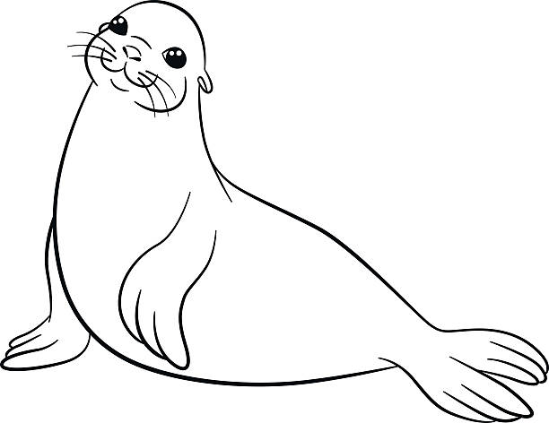 Coloring pages little cute fur seal smiles stock illustration