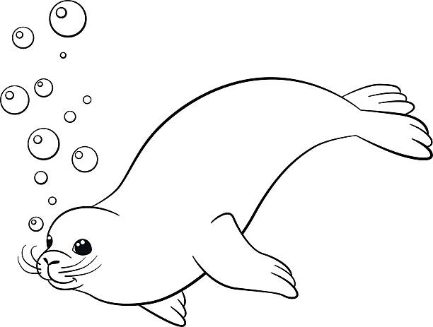 Coloring pages little cute seal swims stock illustration