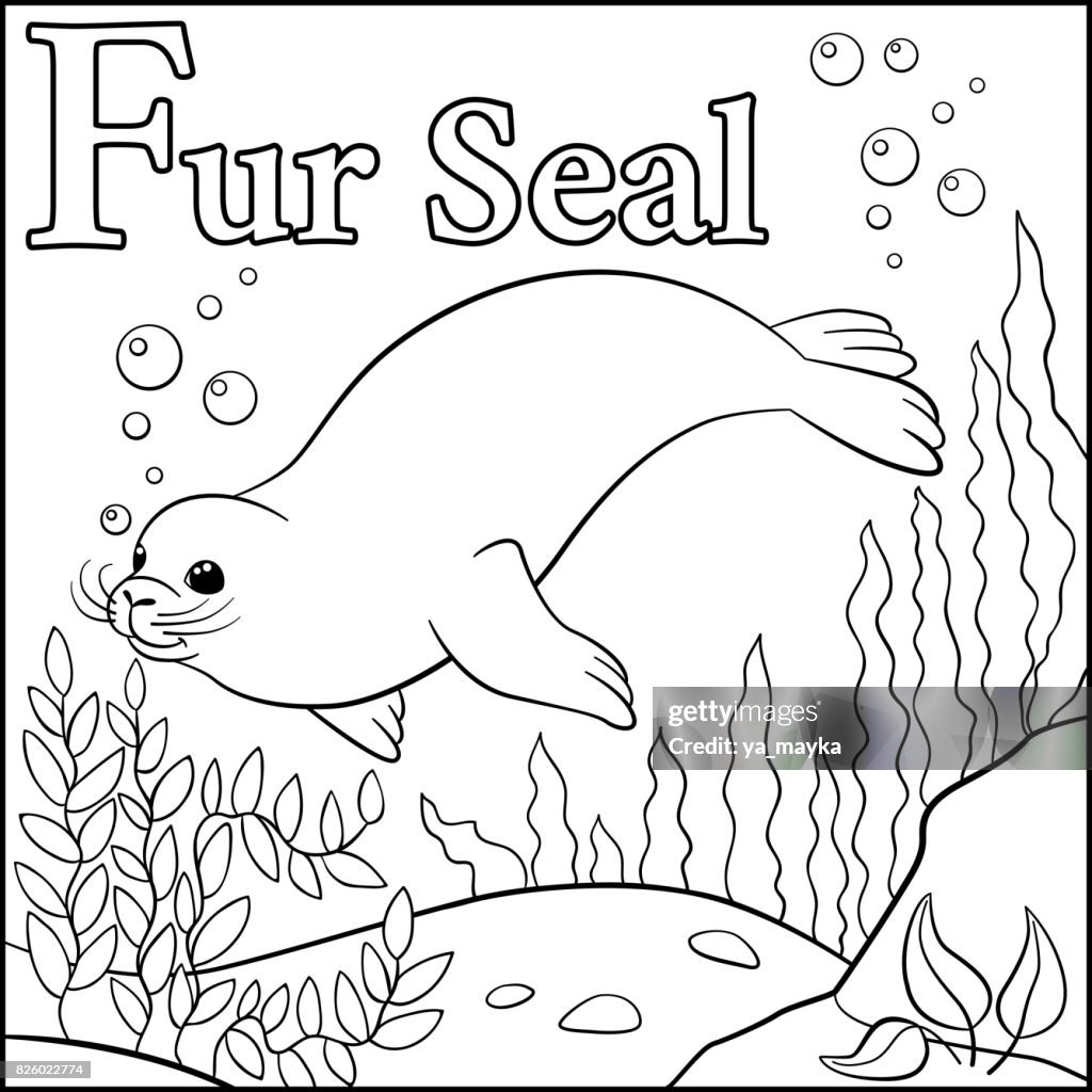 Coloring page cartoon animals alphabet f is for fur seal high