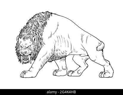 Saber tooth cat on the hunt animals illustration saber