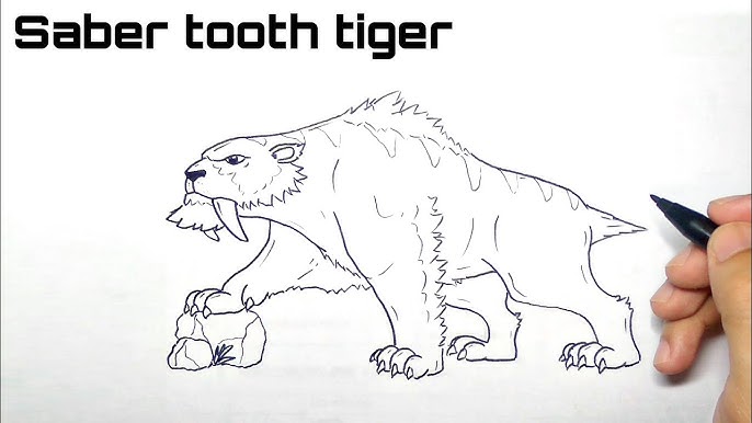 How to draw saber tooth tiger drawing color page for kids