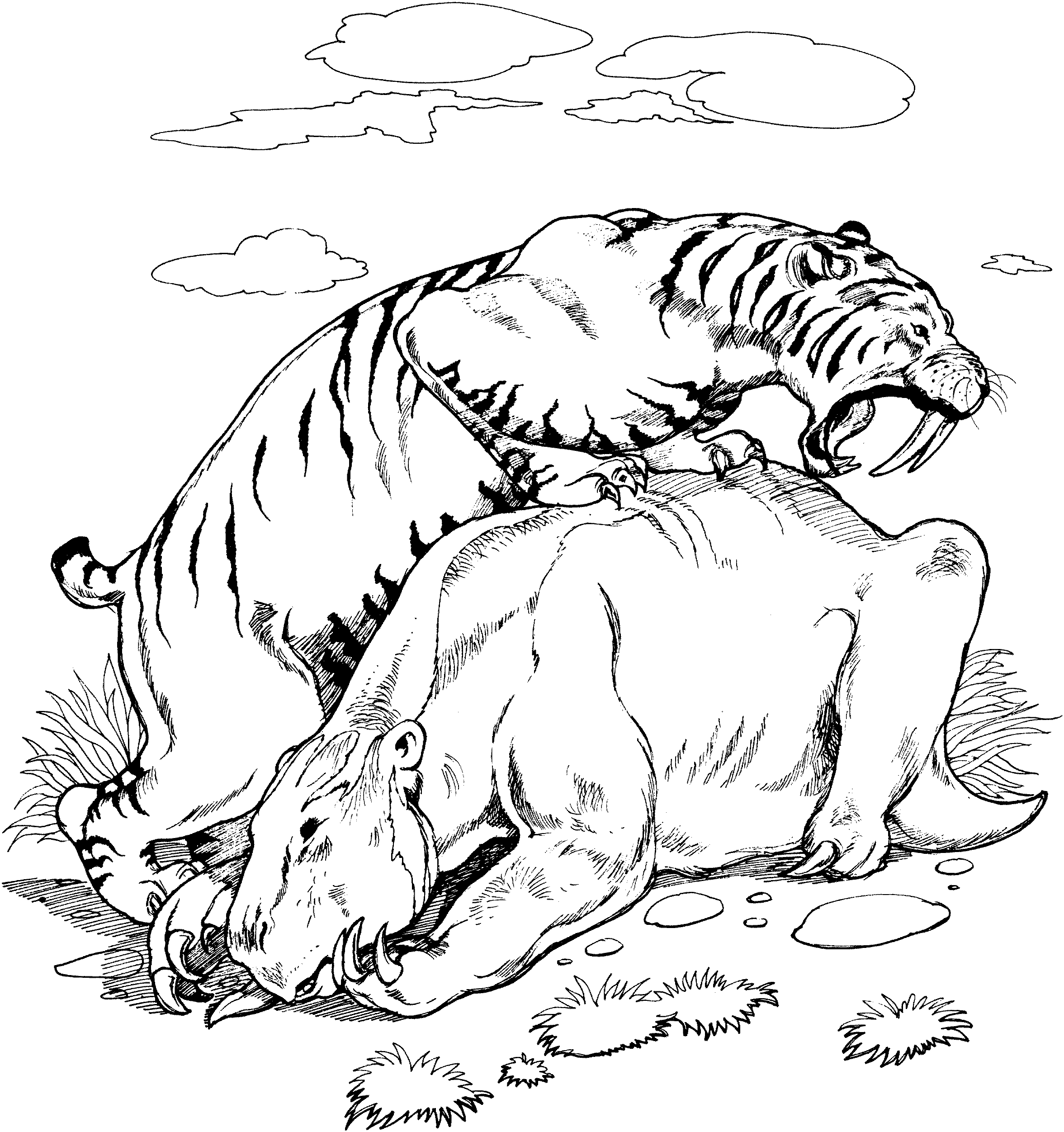 Free printable tiger coloring pages for kids adult coloring pages kids printable coloring pages animal coloring pages