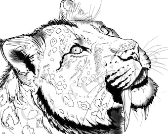 Saber tooth tiger coloring page animal color pages