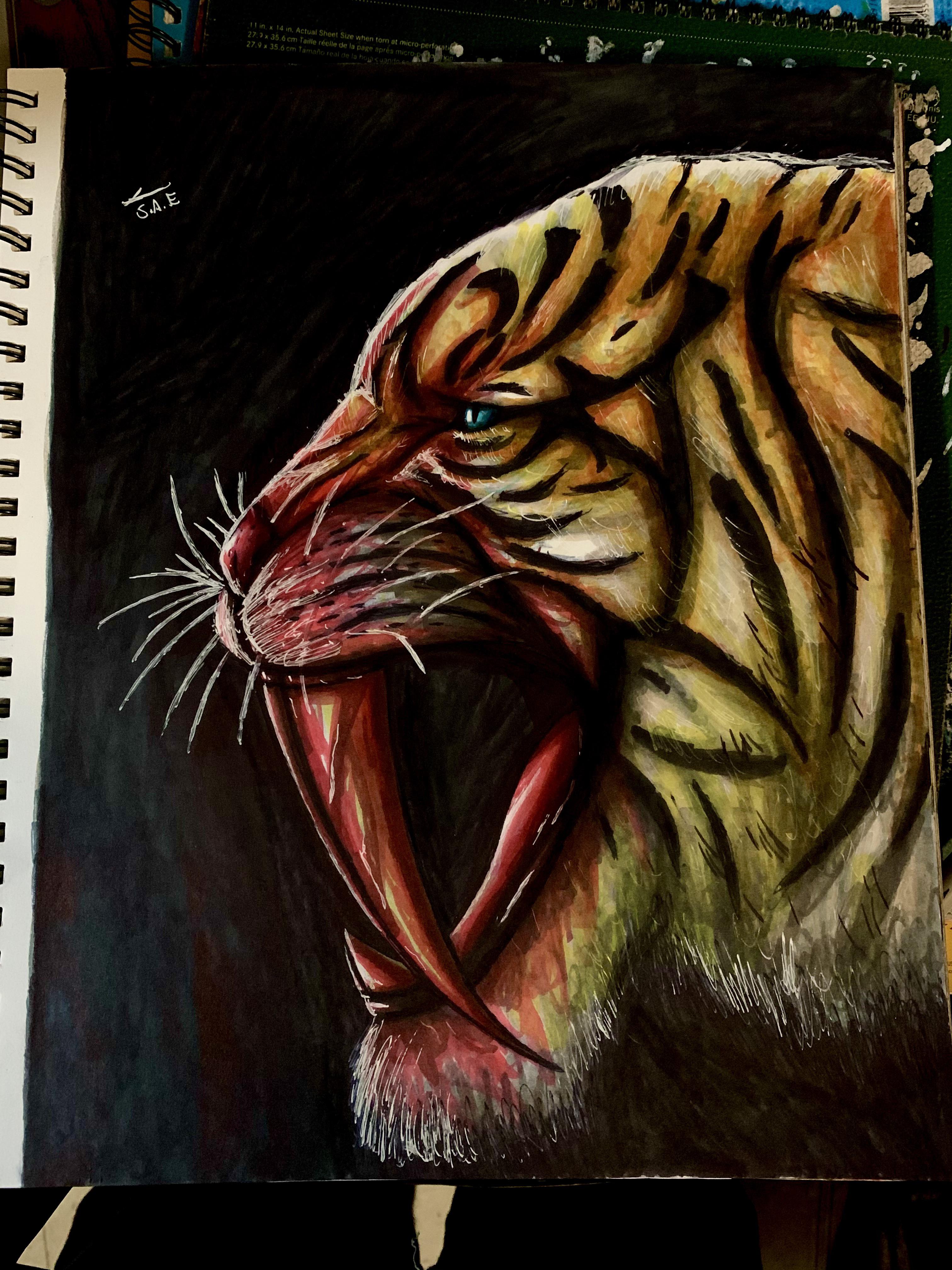 My drawing of a sabertooth tiger rhomeofcreators