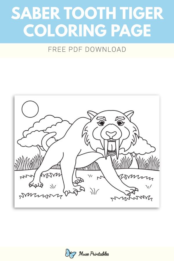 Free sabre tooth tiger coloring page coloring pages sabertooth tiger