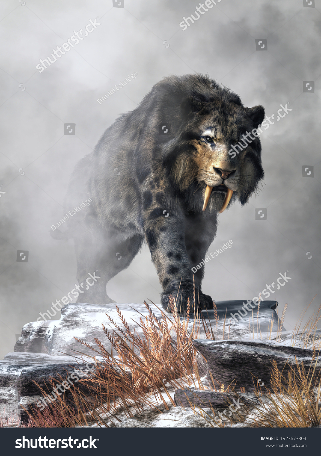 Could Saber-Toothed Cats and American Lions Roar? | Sci.News