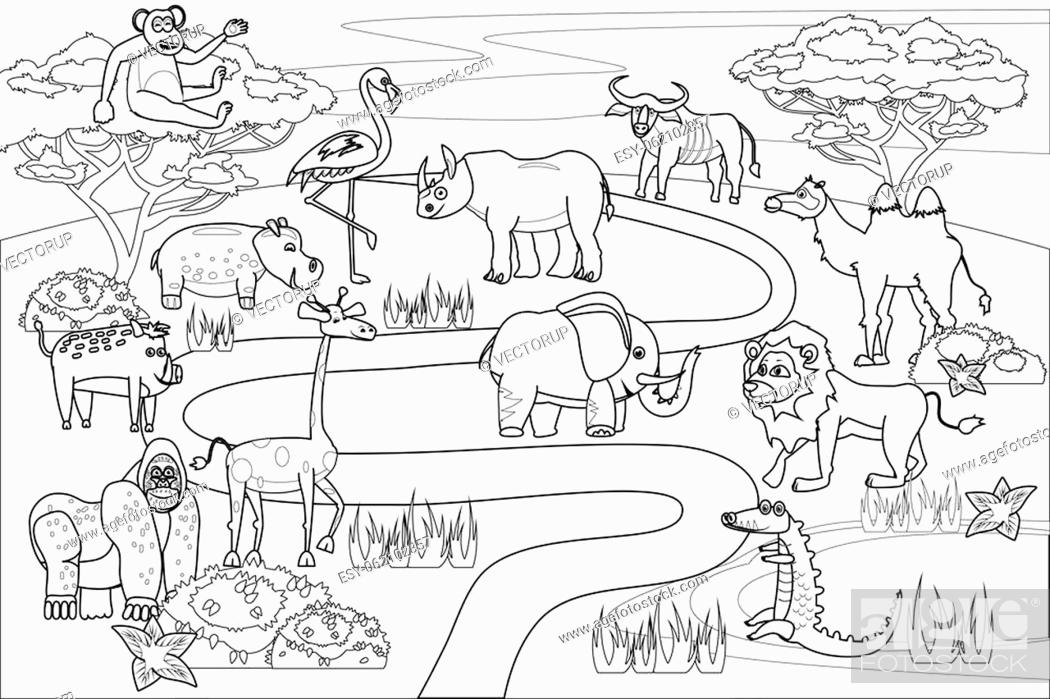 Jungle africa safari animals coloring book edicational illustration for children stock vector vector and low budget royalty free image pic esy