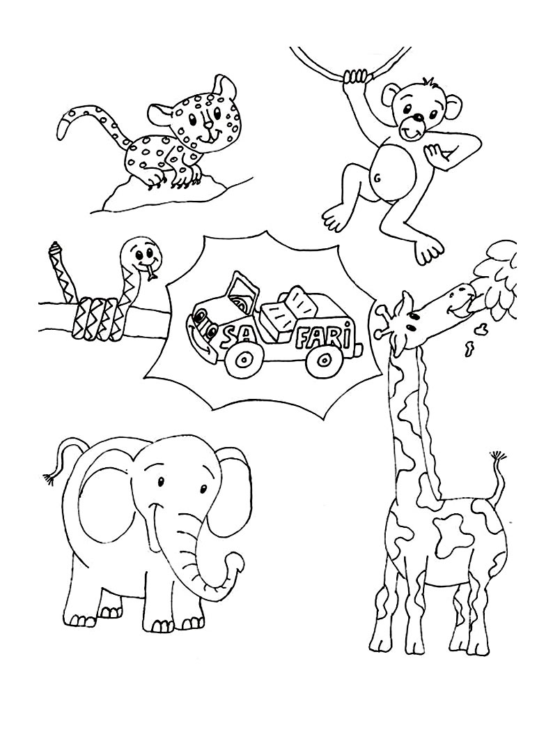 Wild animal coloring pages