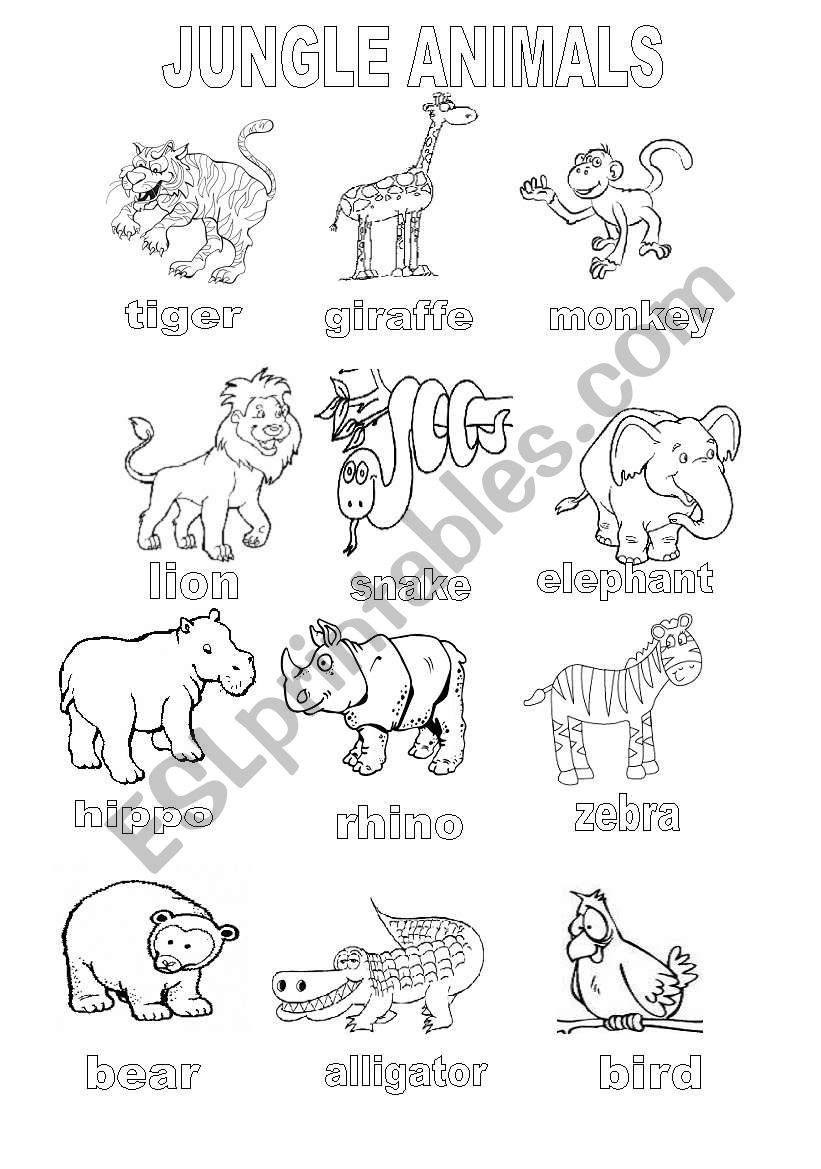 Jungle animals coloring sheet