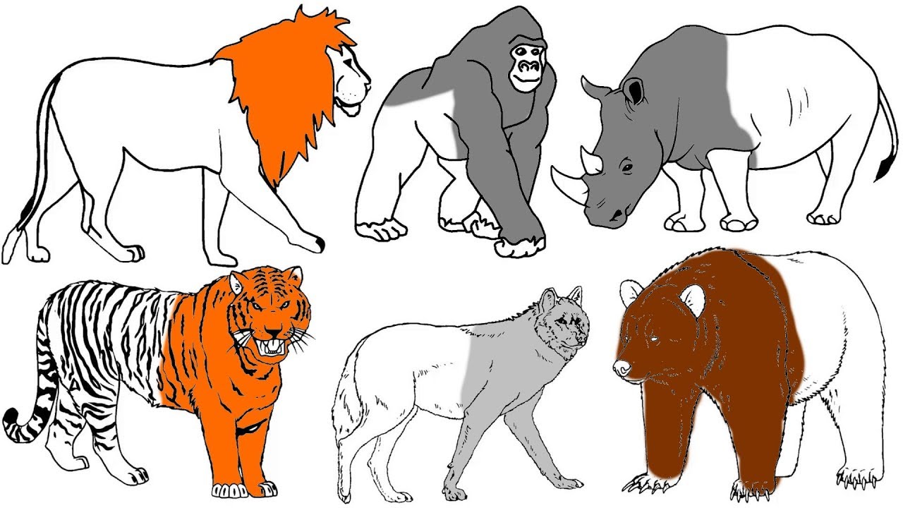 Wild anials coloring pages