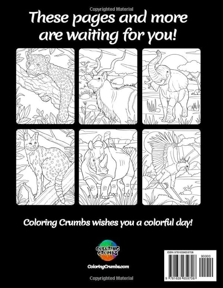 African safari coloring book featuring illustrations of an adventurous safari and sert animals which let you explore africa through an immersive coloring experience crumbs coloring books