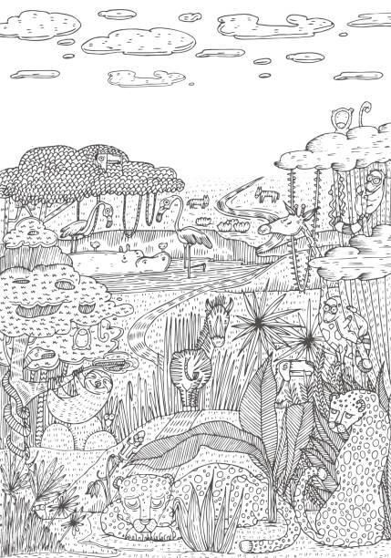 Safari coloring pages stock photos pictures royalty