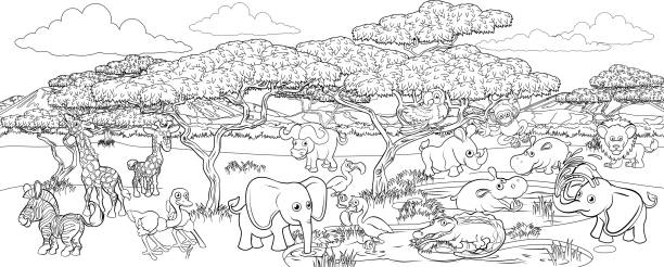 African animals colouring page stock illustrations royalty